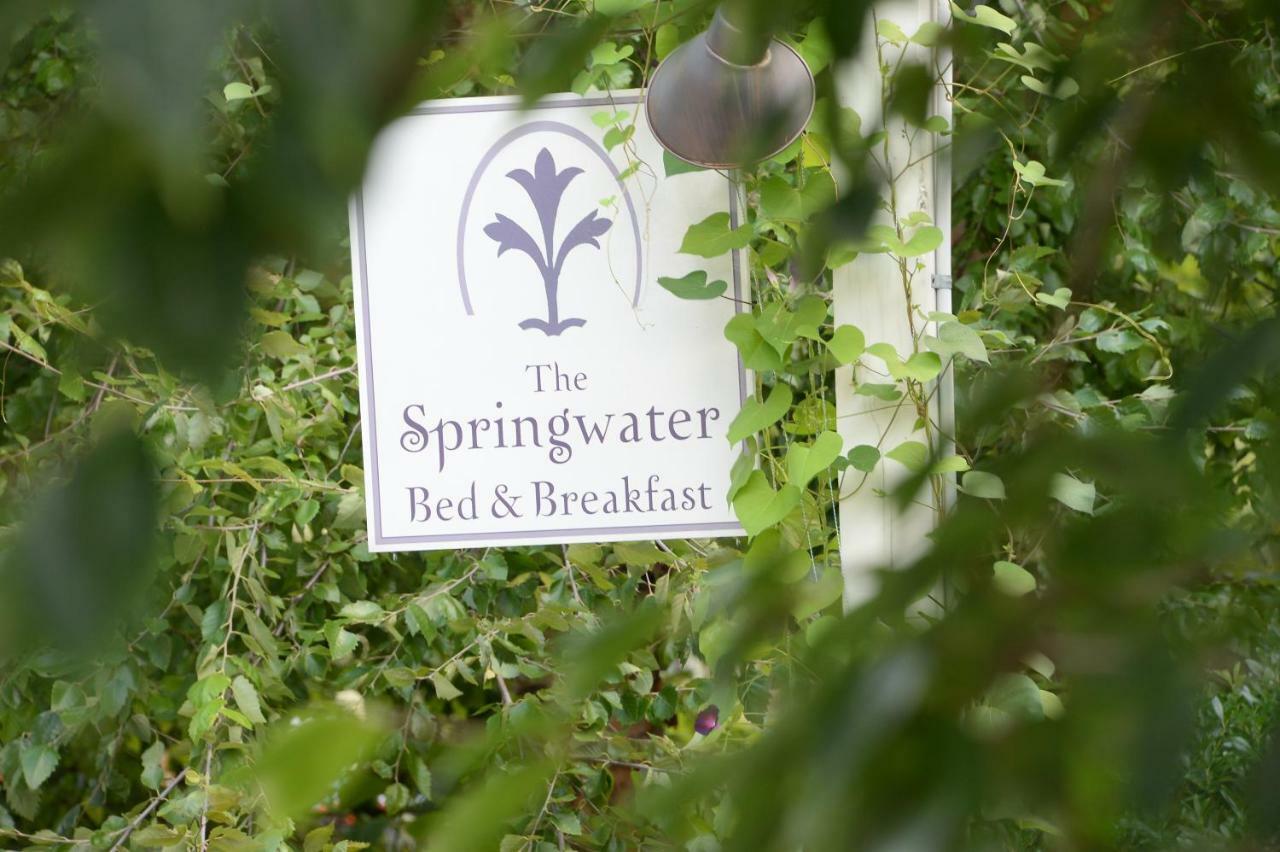The Springwater Bed And Breakfast ซาราโทกาสปริงส์ ภายนอก รูปภาพ